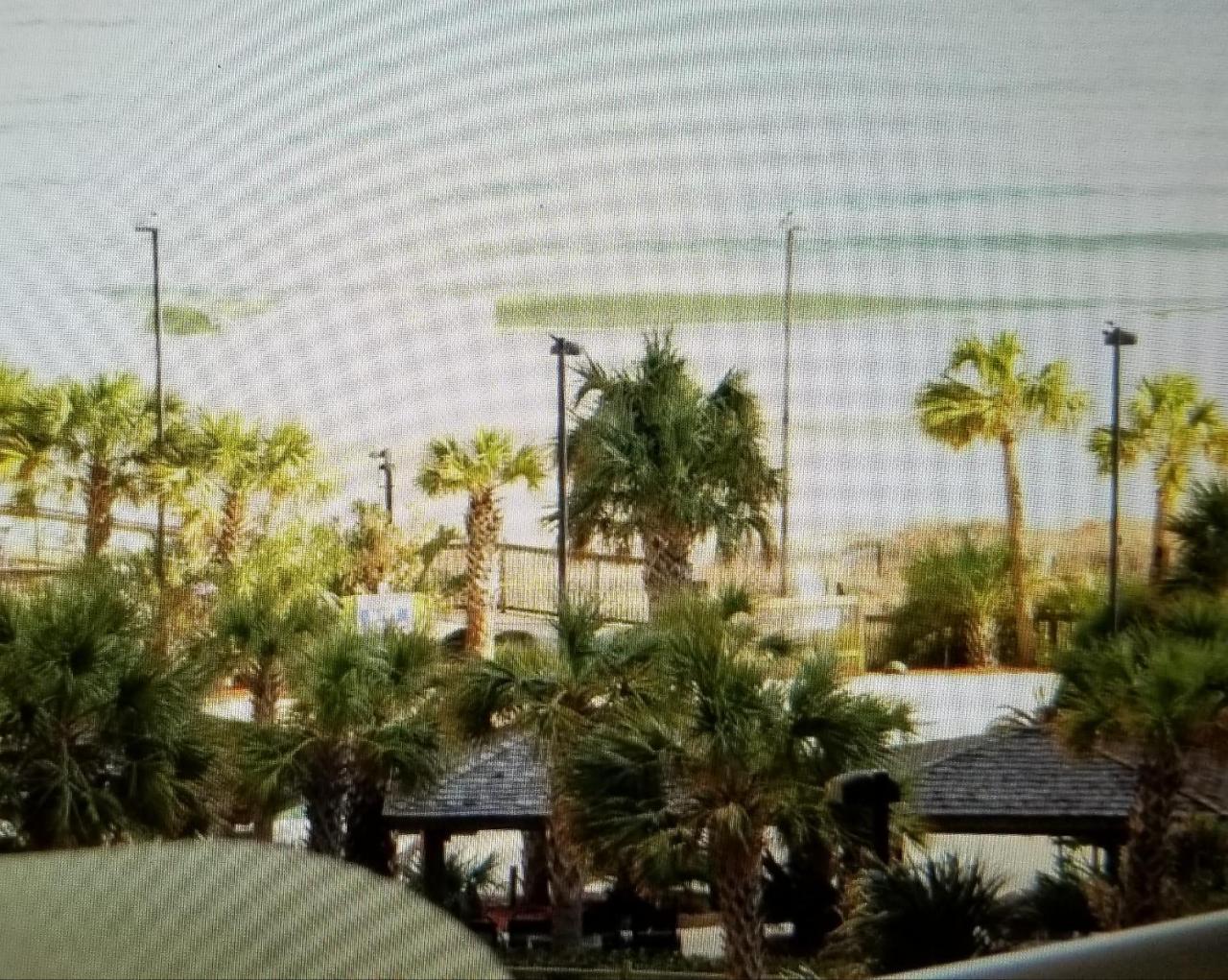 Royal Palms Apartment Briarcliffe Acres Exterior photo